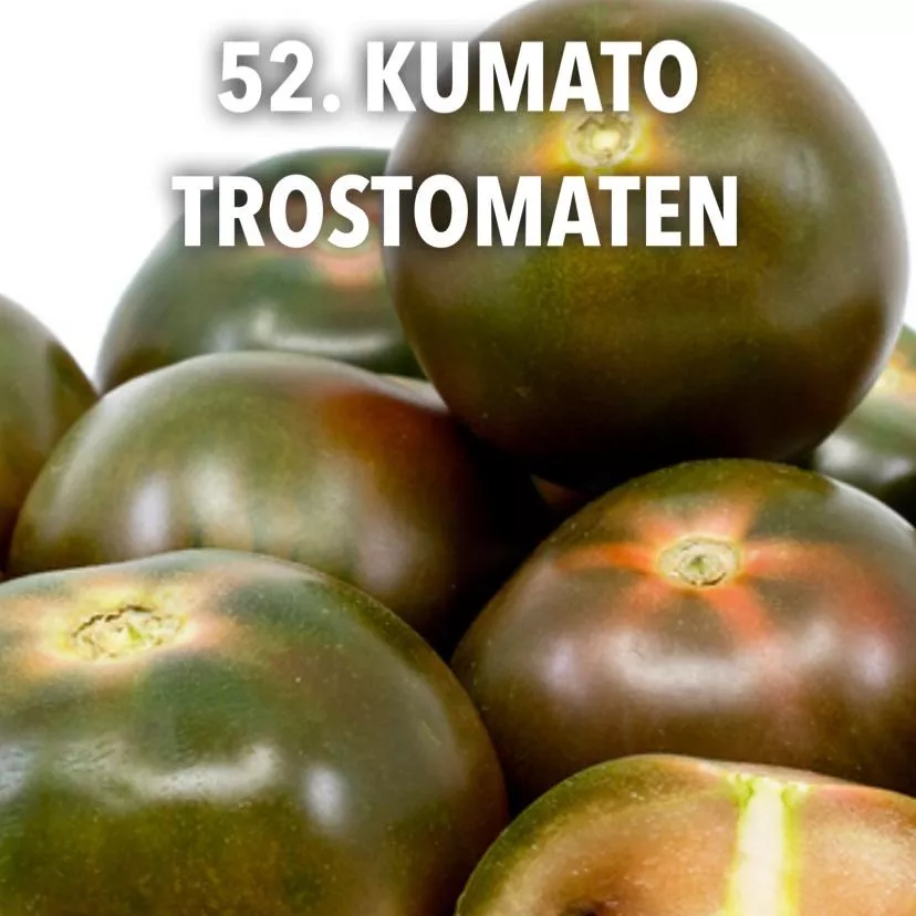 52. Kumato trostomaten -  - Foto's bloemen, planten en kruiden